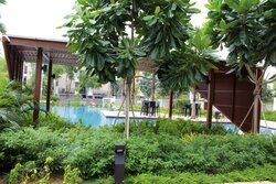 Sea Esta (D18), Condominium #478492011